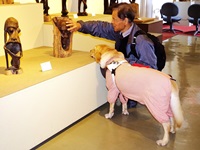 マコンデ美術館で彫刻に触る盲導犬使用者